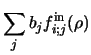 $\displaystyle \sum _ j b_j f_{i;j}^{\rm in} (\rho)$