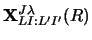 $\displaystyle {\bf X}^{J \lambda}_{LI:L' I'} (R)$