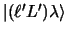 $\vert (\ell' L') \lambda\rangle$