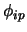 $\phi_{ip}$