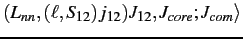 $(L_{nn},(\ell,S_{12})j_{12})J_{12}, J_{core}; J_{com}\rangle$