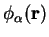 $\phi_{\alpha}(\mathbf{r})$