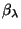 $\beta_\lambda$