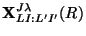 $\displaystyle {\bf X}^{J \lambda}_{LI:L' I'} (R)$