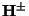 ${\bf H^{\pm}}$