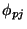 $\phi_{pj}$