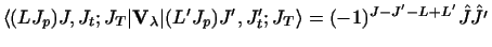 $\displaystyle \langle (L J_p)J, J_t ; J_T \vert {\bf V}_\lambda \vert
(L' J_ p)J' , J'_ t ; J_T\rangle
=
(-1)^{J-J' -L+L'} \hat J \hat {J'}$