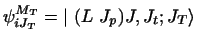 $\displaystyle \psi_{i J_T}^{M_T} =
\left \vert ~(L~J_p )J, J_t ; J_T \right\rangle$